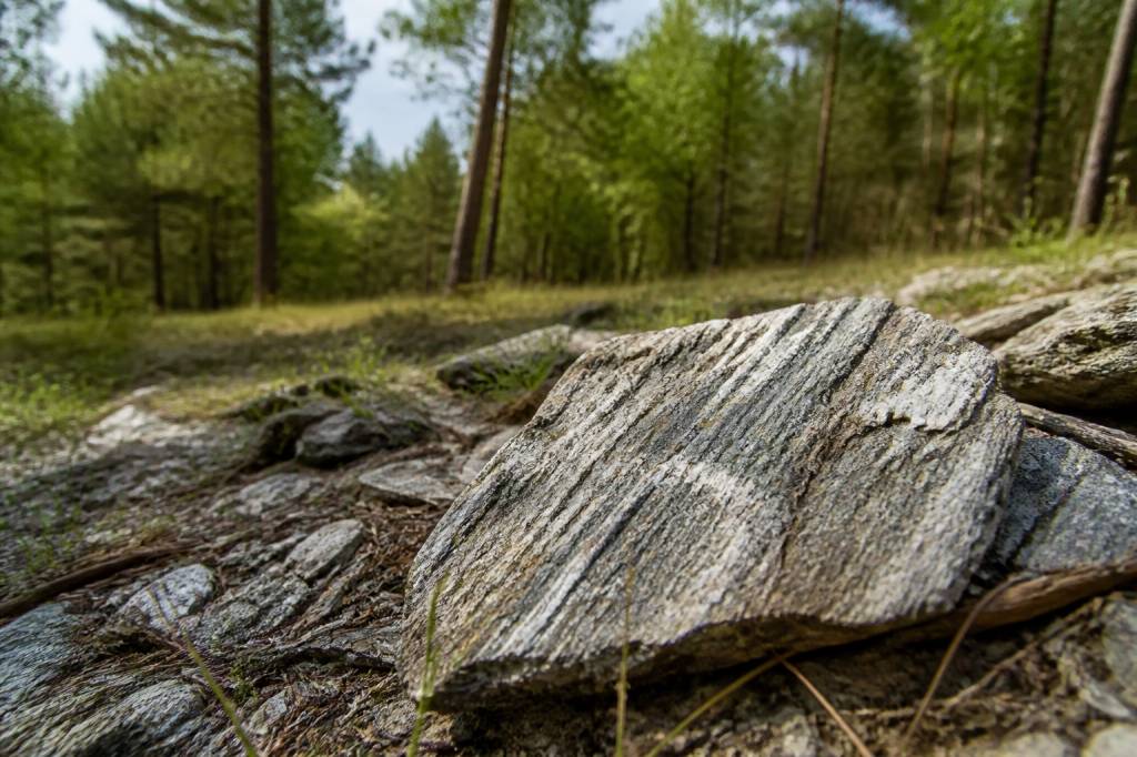 Amiante environnementale : comprendre les risques et les solutions
